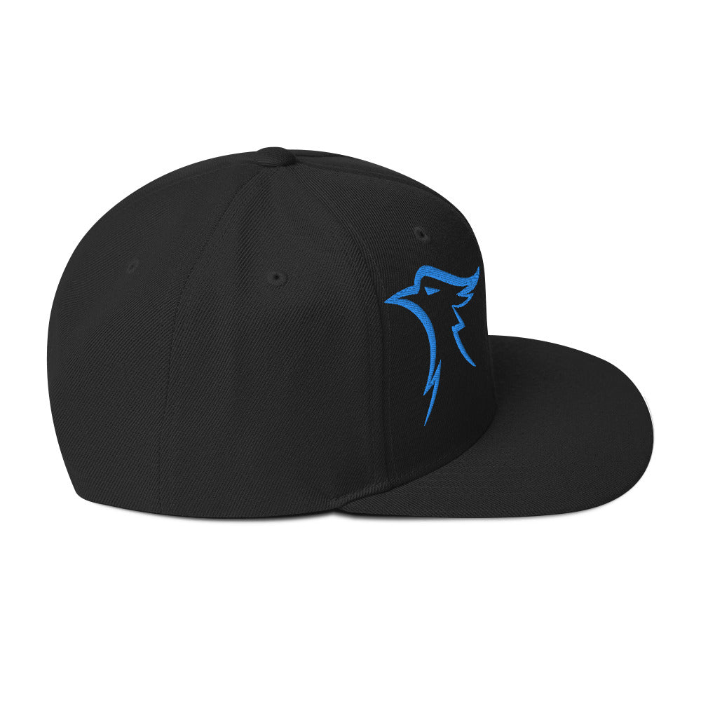 Carolina Blue Snapback Hat