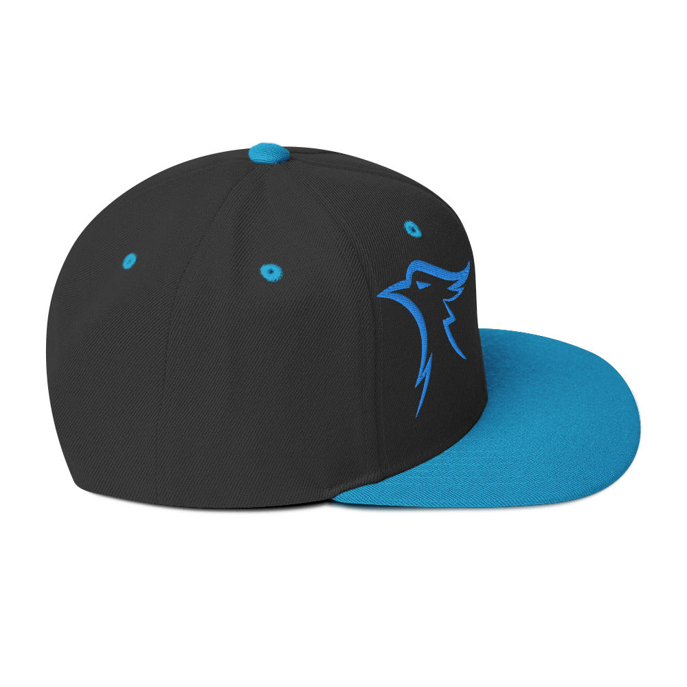 Carolina Blue Snapback Hat